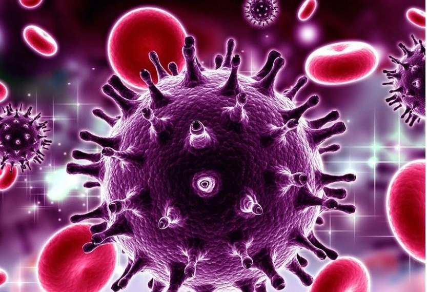 HIV: Nguyên nhân, biểu hiện, đường lây truyền, cách điều trị và phòng bệnh
